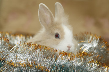 Similar image 477016