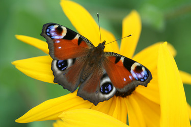 Similar image 477017