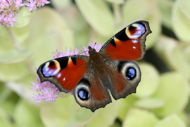 Similar image 477018