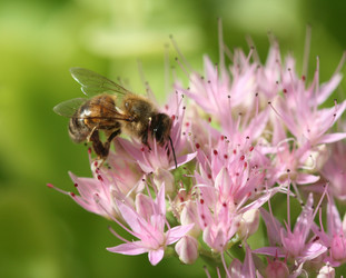 Similar image 477023