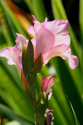 Similar image 477025