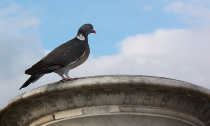 Similar image 477029