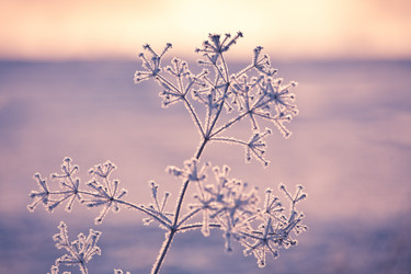 Similar image 477035