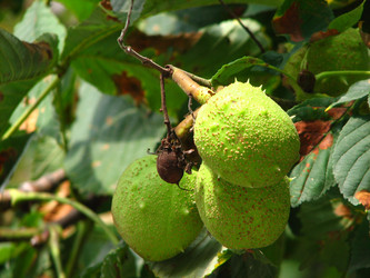 Similar image 477084