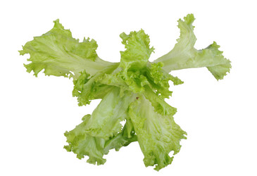 Similar image 477114