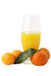 Similar image 477128