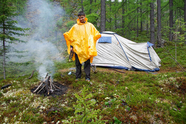 Similar image 477175