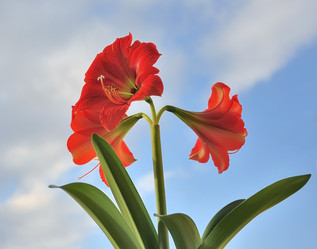 Similar image 477213