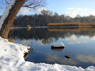 Similar image 477301