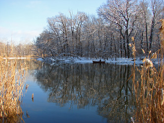 Similar image 477306