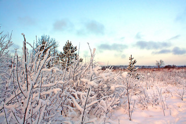 Similar image 477322