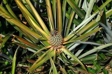 Similar image 477341