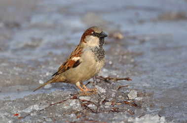 Similar image 477356