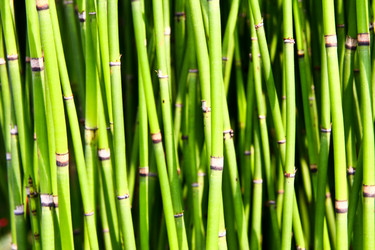 Similar image 477373