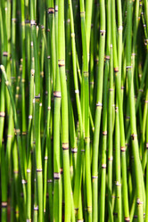 Similar image 477374