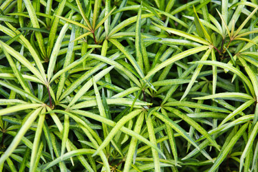 Similar image 477377