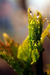 Similar image 477379