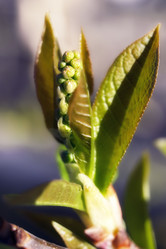 Similar image 477380