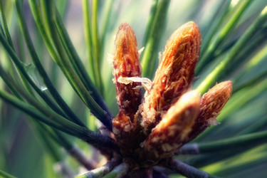 Similar image 477382