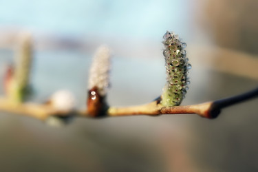 Similar image 477383