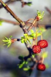 Similar image 477384