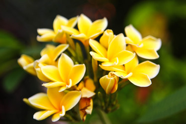 Similar image 477385