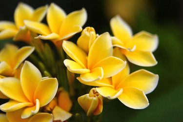 Similar image 477386