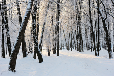 Similar image 477403