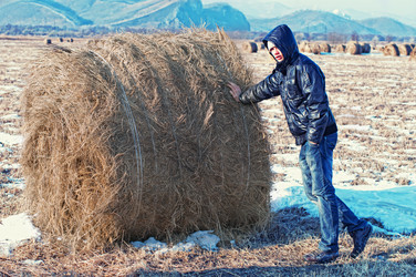 Similar image 477457