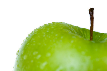 Similar image 477463