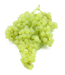 Similar image 477495