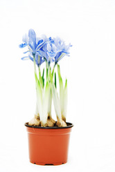 Similar image 477498