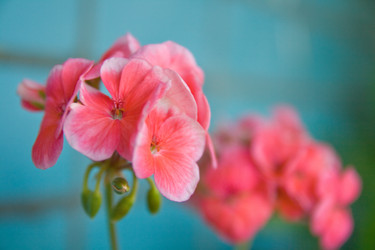 Similar image 477503