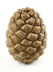 Similar image 477544