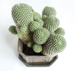 Similar image 477549