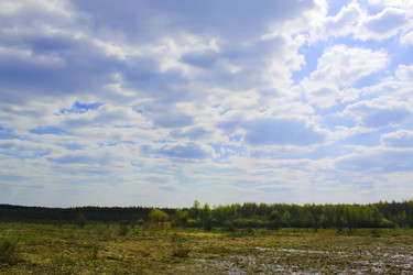 Similar image 477565