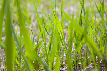 Similar image 477570