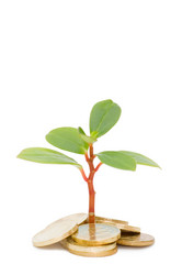 Similar image 477606