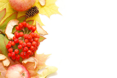 Similar image 477627