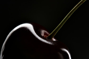 Similar image 477647