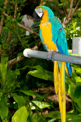 Similar image 477650