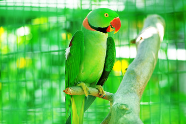 Similar image 477669