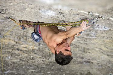 Similar image 477699