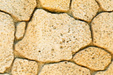 Similar image 477730