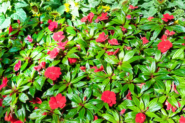 Similar image 477811