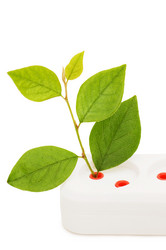 Similar image 477815