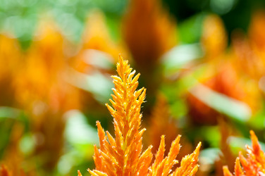 Similar image 477821