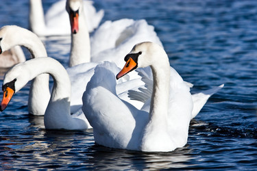 Similar image 477842