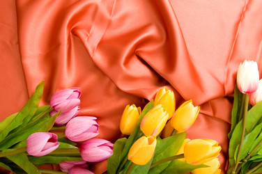 Similar image 477852