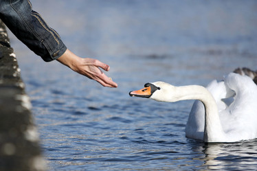 Similar image 477855